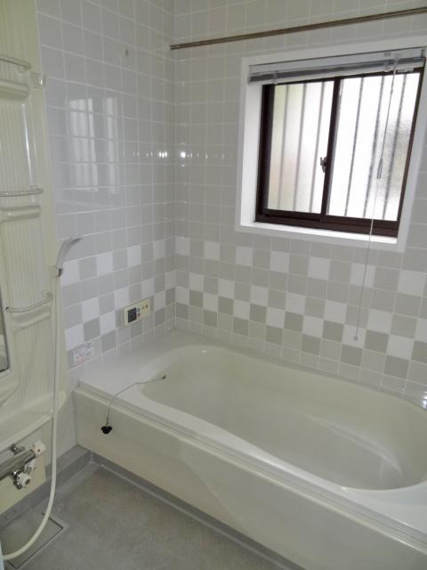 Bathroom. Local (12 May 2013) Shooting