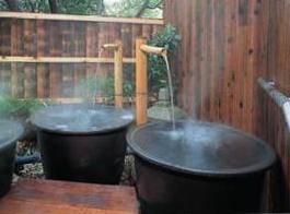 Garden. Open-air bath