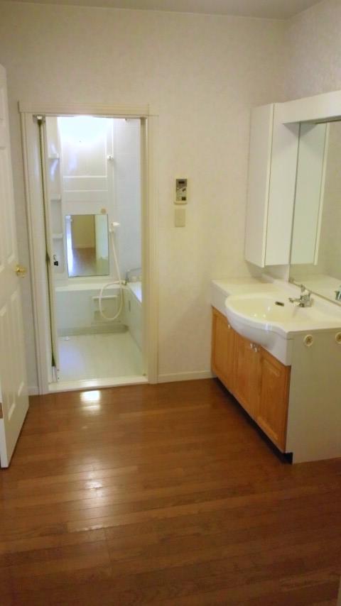 Wash basin, toilet. Washroom