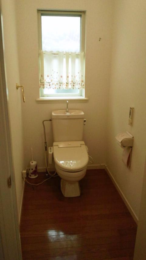 Toilet. Cleaning toilet seat