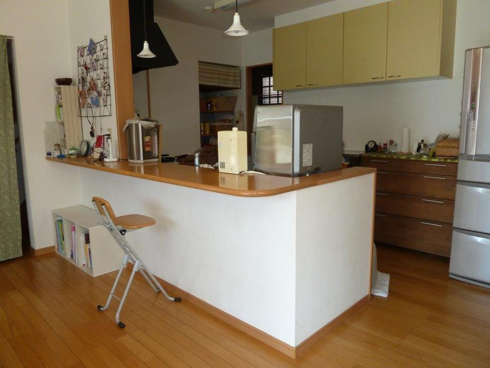 Kitchen. Counter kitchen with a top light