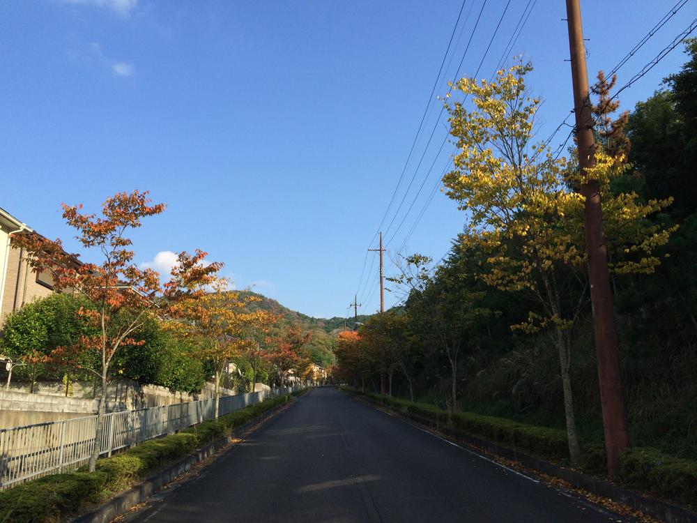 Other. Surrounding cityscape