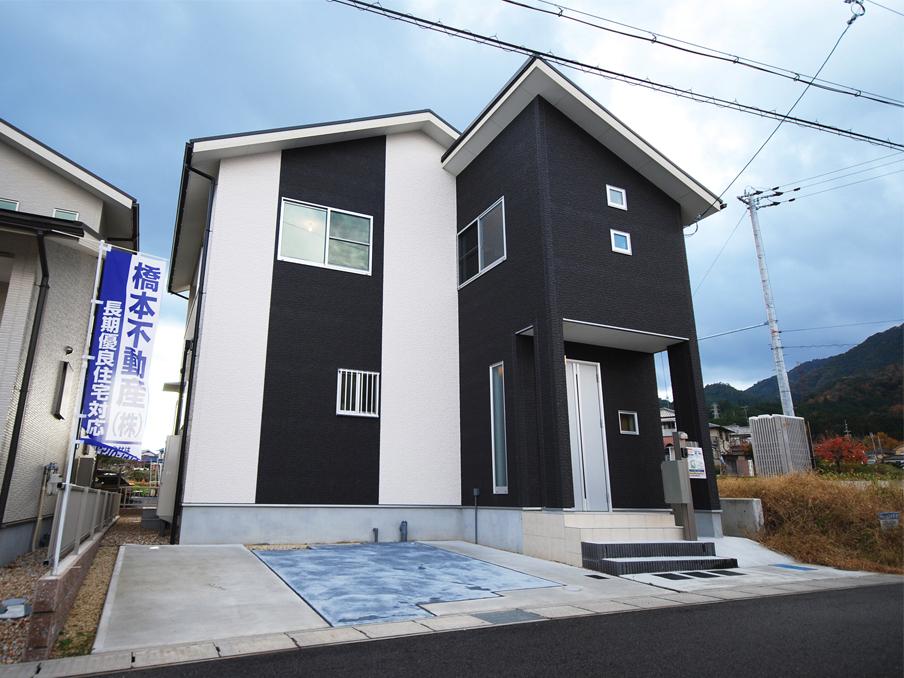 Local appearance photo. Monotone of paste divided impressive appearance (No. 17 locations)