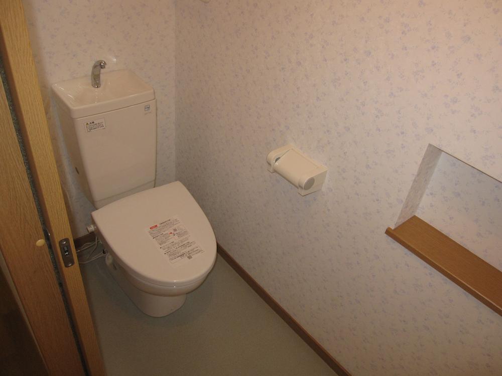 Toilet. First floor toilet