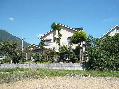 Local appearance photo. Local (10 May 2013) Shooting