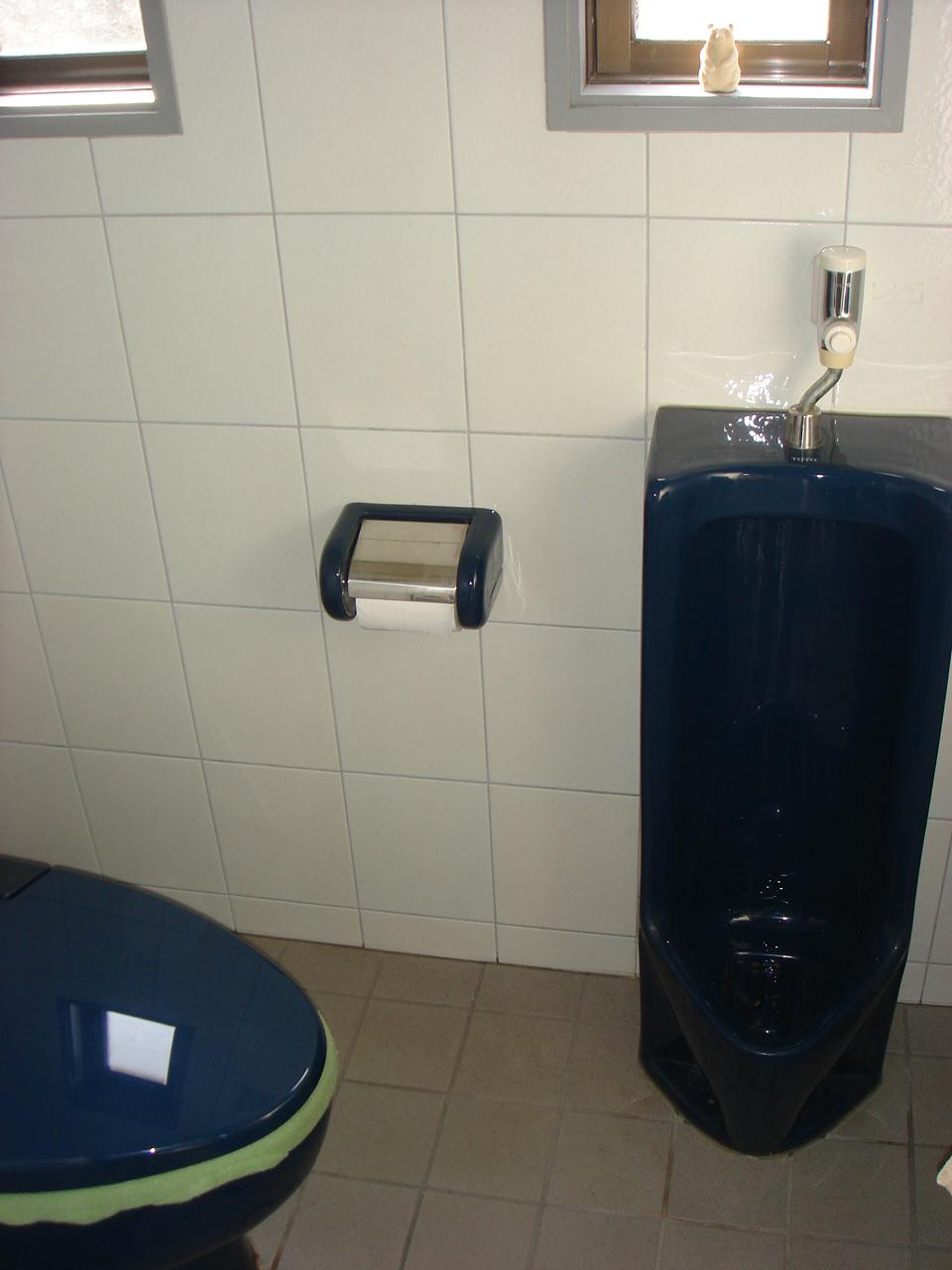 Toilet. Indoor (11 May 2013) Shooting