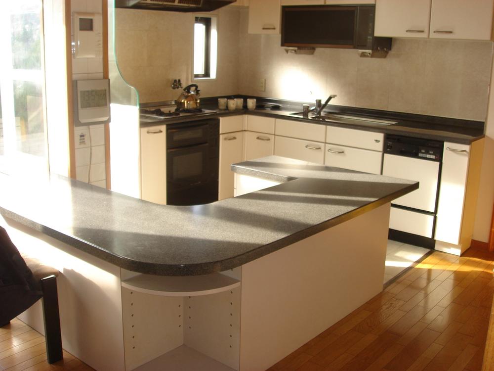 Kitchen. Indoor (11 May 2013) Shooting