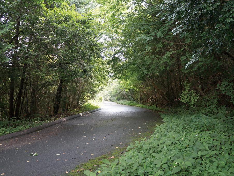 Other local. Nature full An'yoji mountain road.