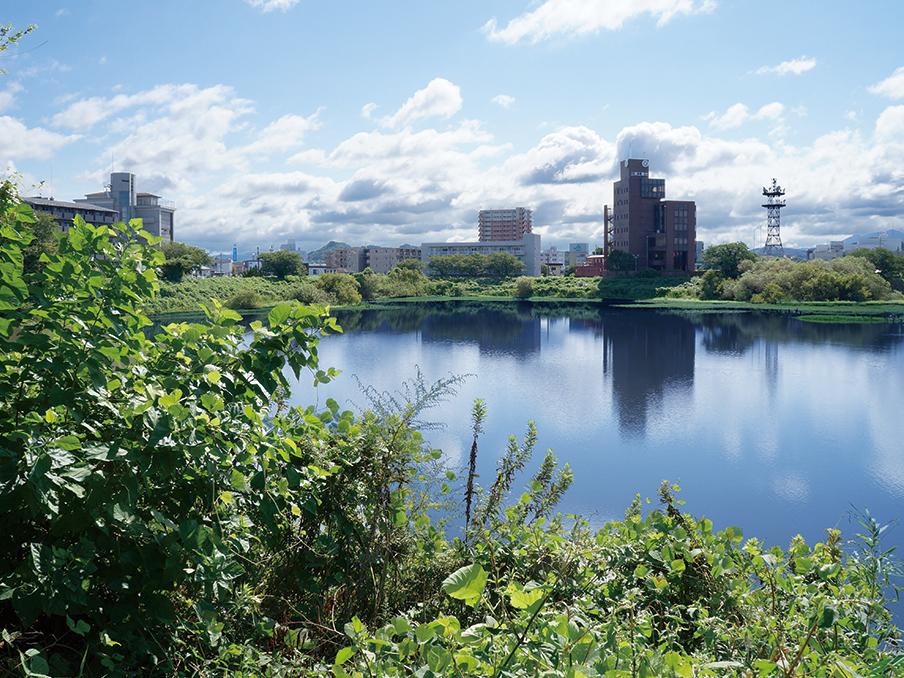 Other local. Local nearby Kamimagari pond and park. You can also various birding.