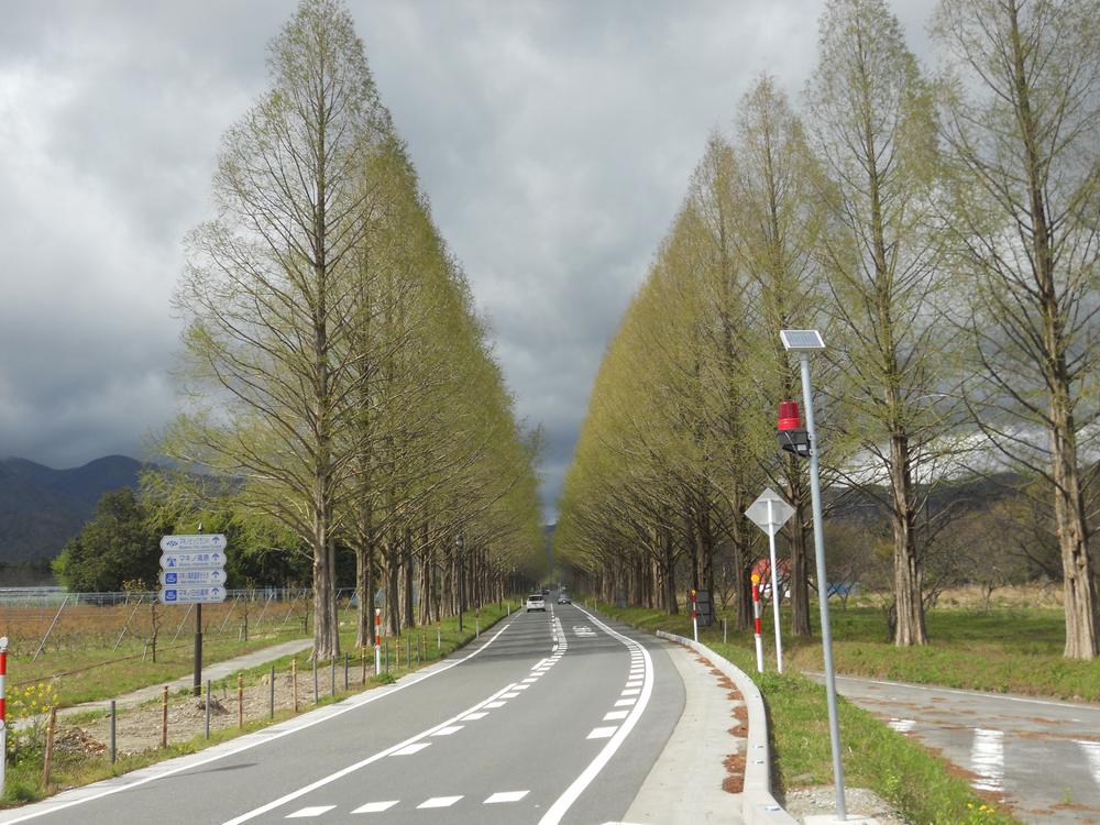 Other. Makino Metasekoiya Namiki (8 minutes by car) 