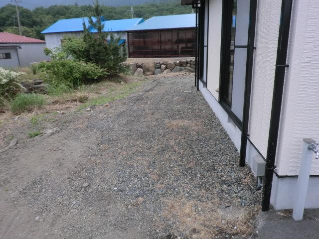 Garden. Local (September 2013) Shooting