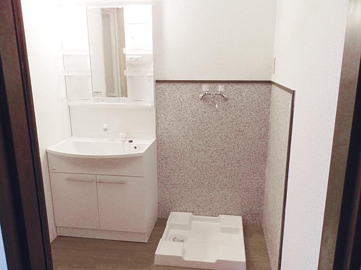 Wash basin, toilet. New vanity