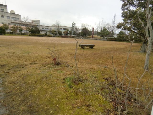 park. Children's park across a front road, Naughtiness Square