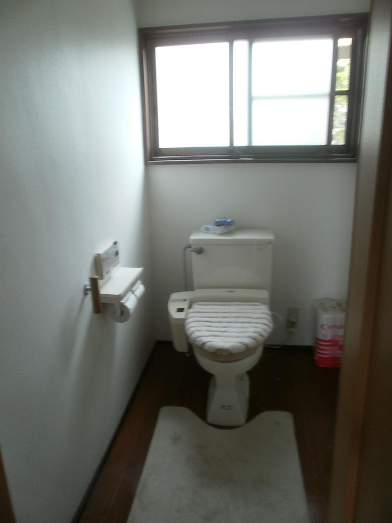 Toilet. Room (August 2013) Shooting