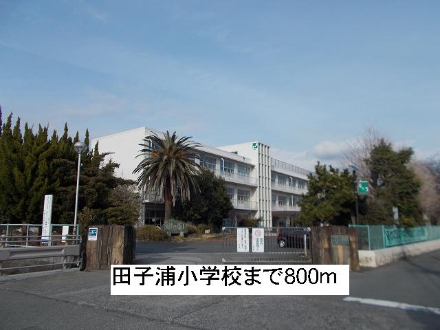 Primary school. Takko Pu 800m up to elementary school (elementary school)