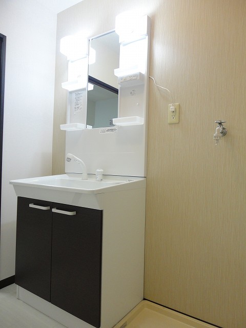 Washroom. Wash basin
