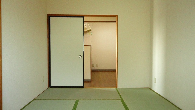 Other room space. Japanese style room