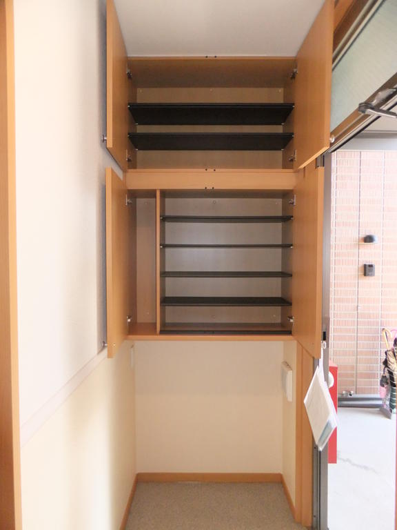 Entrance. Shoe box