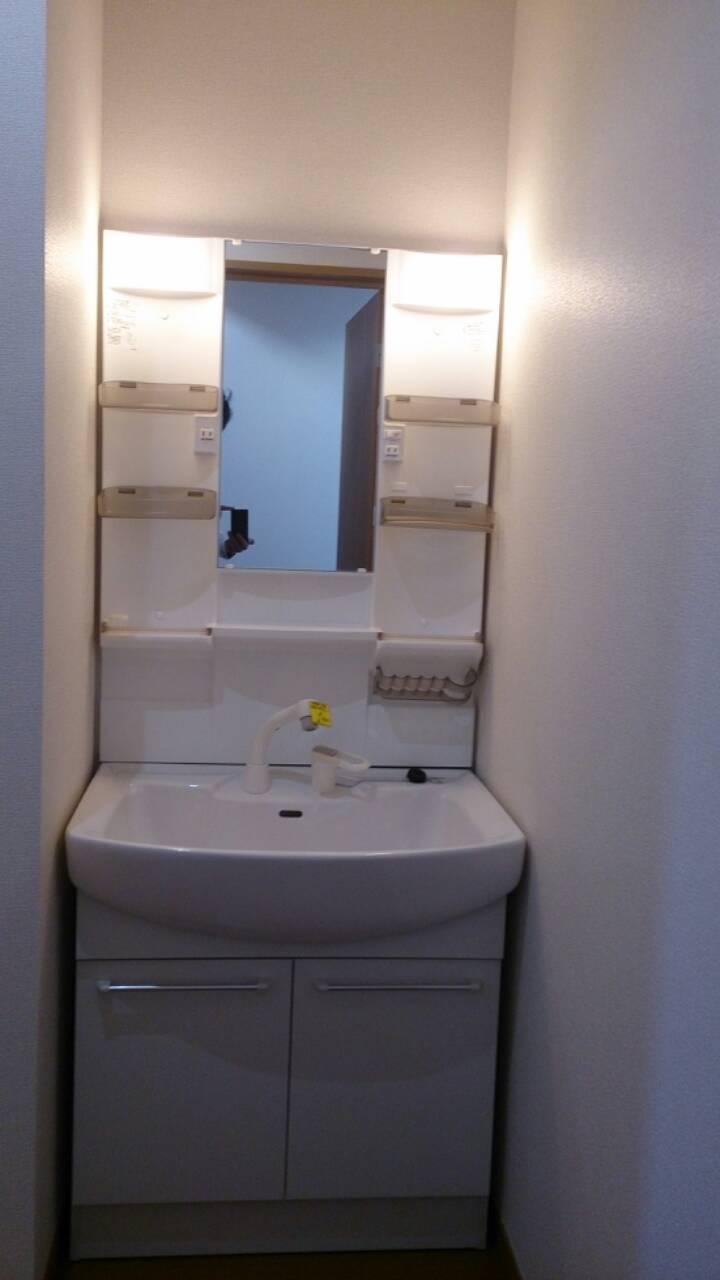 Wash basin, toilet. Shower Dresser