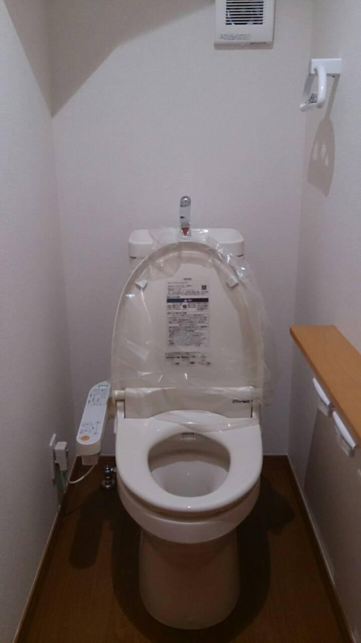 Toilet. Shower toilet