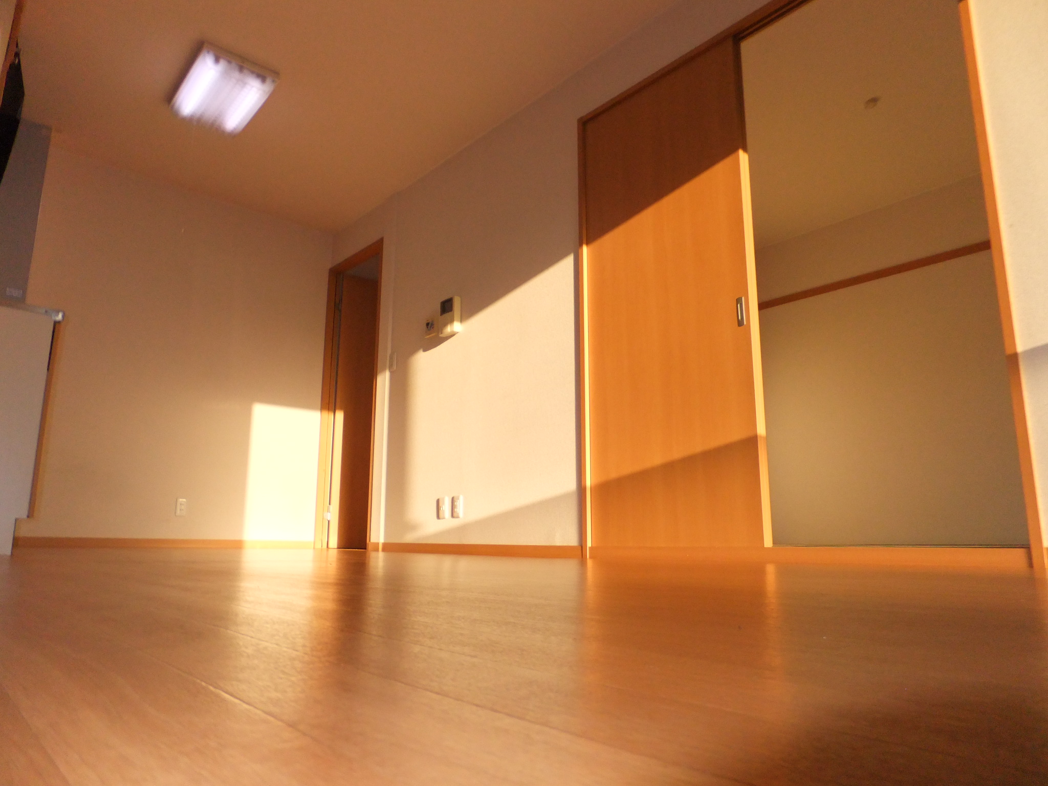 Living and room