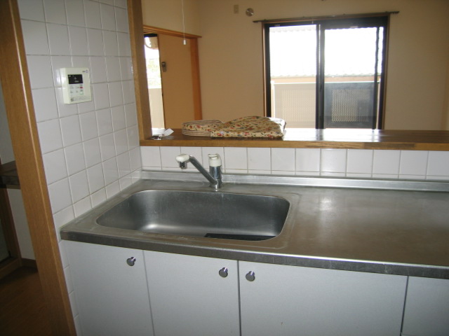 Kitchen. Face-to-face kitchen