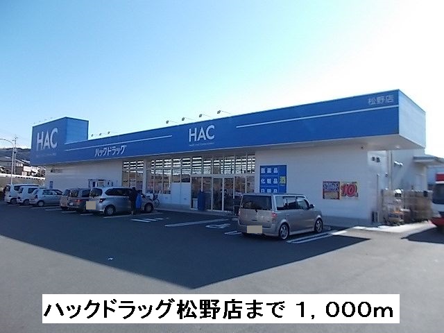 Dorakkusutoa. 1000m to hack drag Matsuno shop (drugstore)