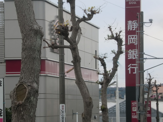 Bank. 991m to Shizuoka Bank, Komatsu Branch (Bank)