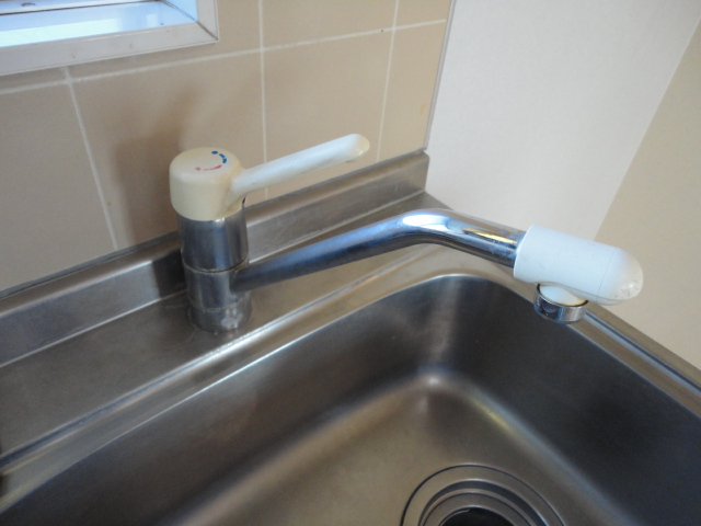 Kitchen. Single Lever