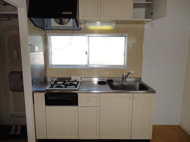 Kitchen. kitchen With gas stove