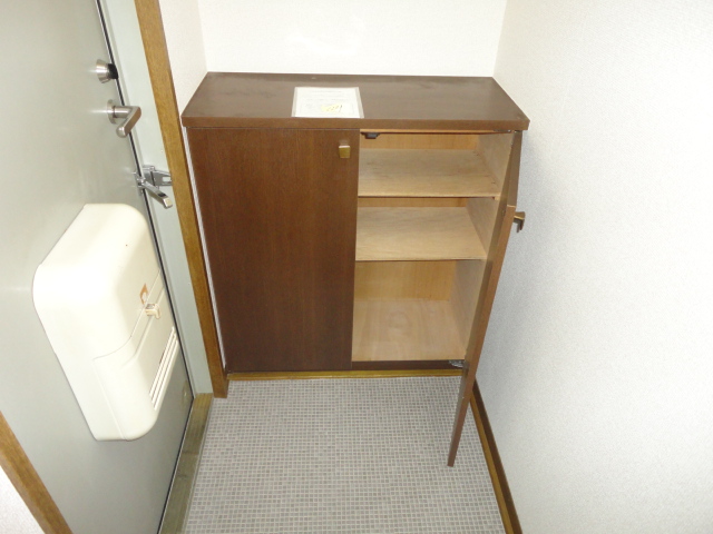 Entrance. Entrance shoebox