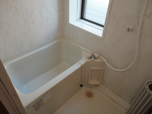 Bath. bus shower Window there