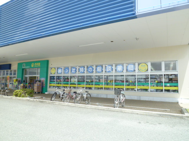 Dorakkusutoa. Kyorindo pharmacy drugstore Kasai shop 869m until (drugstore)