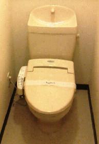 Toilet. Warm water washing toilet seat
