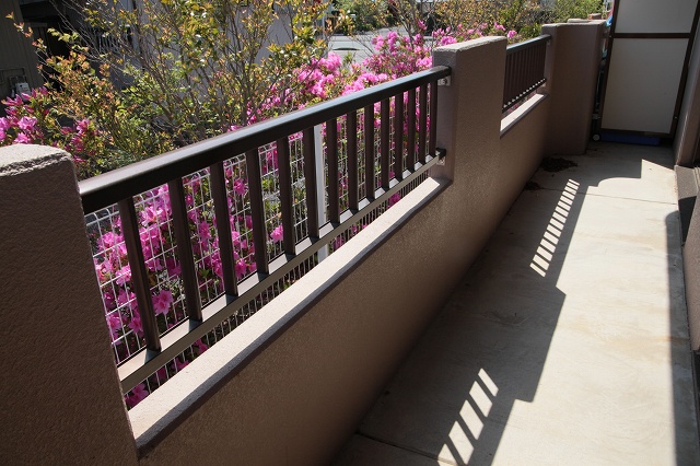 Balcony. Veranda