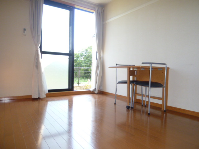 Living and room. Living