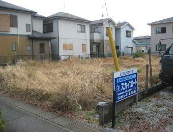 Local land photo
