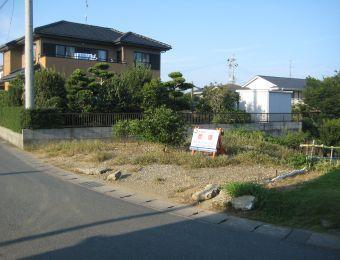 Local land photo