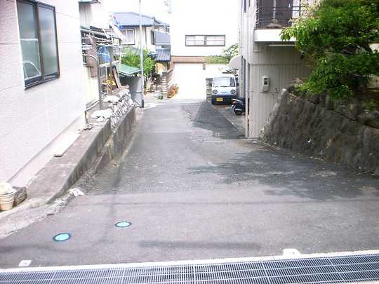 Local land photo