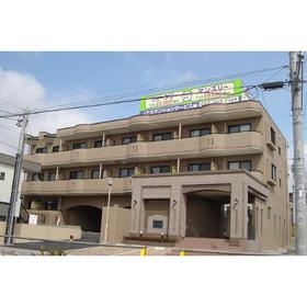 Building appearance