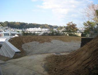 Local land photo