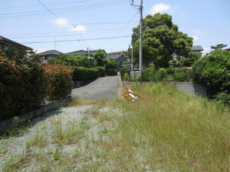Local land photo