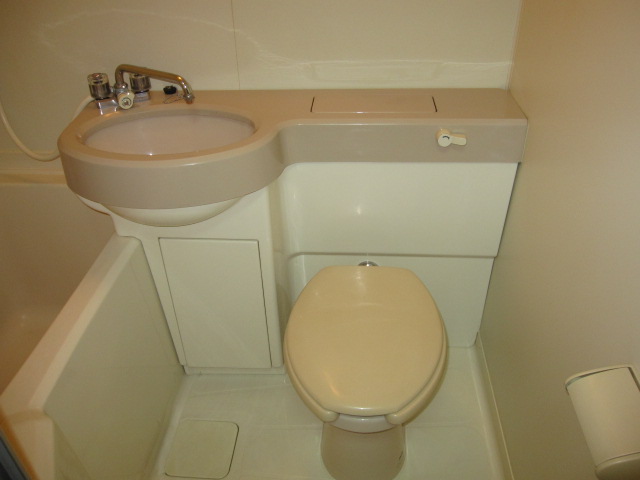 Toilet