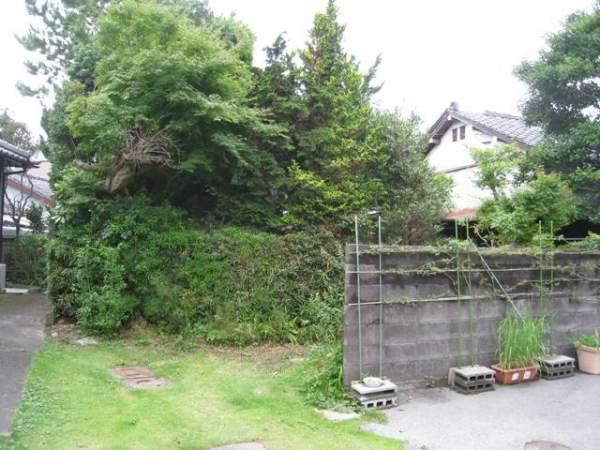 Local land photo