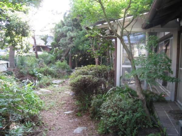 Local land photo