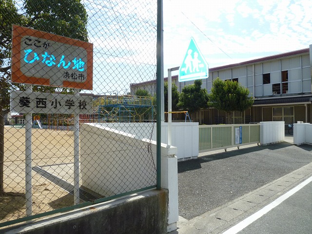Primary school. Hamamatsu hollyhock Nishi Elementary School 700m until the (elementary school)