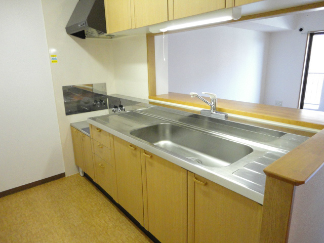 Kitchen. Kitchen