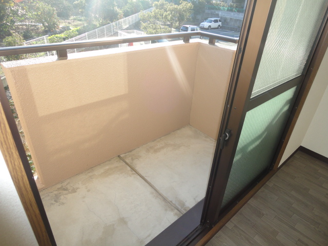 Balcony. Veranda