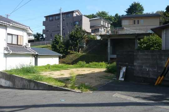 Local land photo