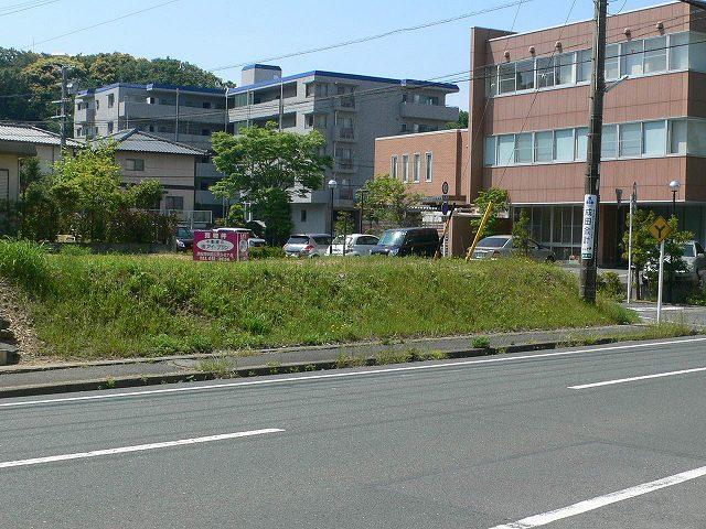 Local land photo